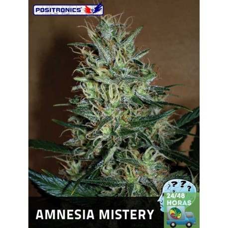 Amnesia Mistery