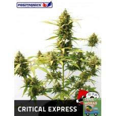 Critical Express