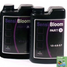 Sensi Bloom A