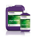 Alga-Bloom