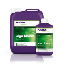 Alga-Bloom