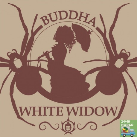 Buddha White Widow