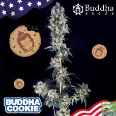 Buddha Cookie