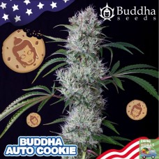 Buddha Auto Cookie