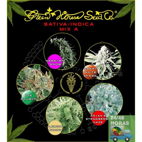 Sativa Indica Mix A