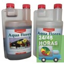Aqua Flores B